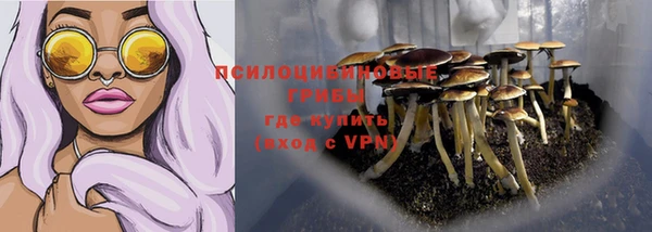 каннабис Баксан