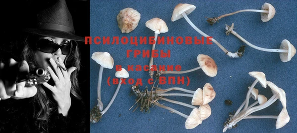 mdpv Белоозёрский