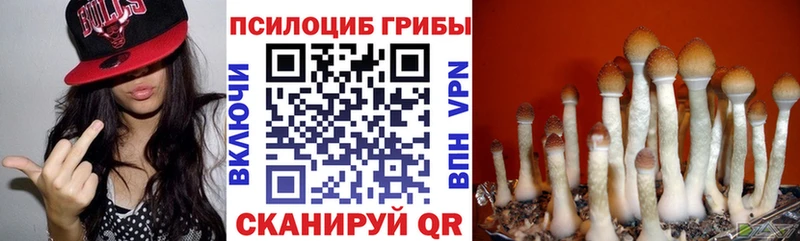 купить закладку  Карабулак  кракен как зайти  Псилоцибиновые грибы MAGIC MUSHROOMS 